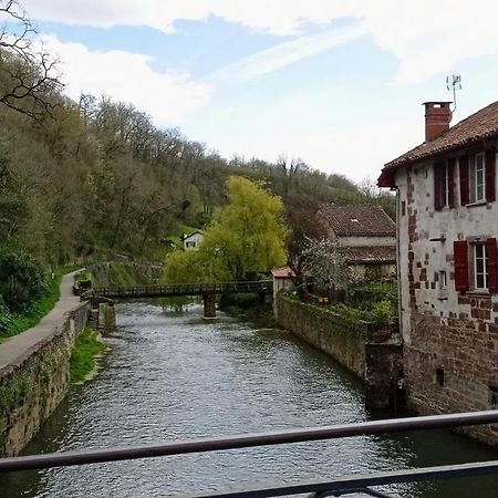 Saint Jean Pied De Port. Centre Ville. Rue Pietonne Eksteriør bilde