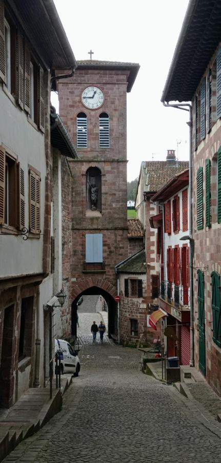 Saint Jean Pied De Port. Centre Ville. Rue Pietonne Eksteriør bilde